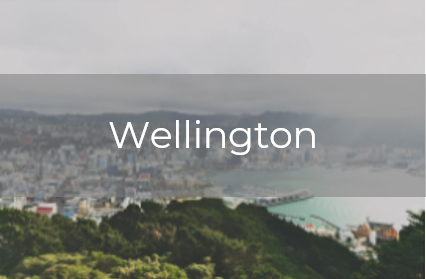 Wellington case study linked image