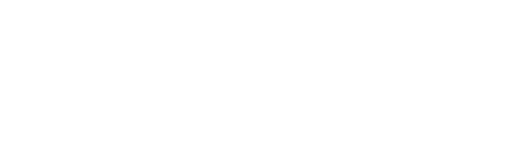 Digital Built Aotearoa Logo in white