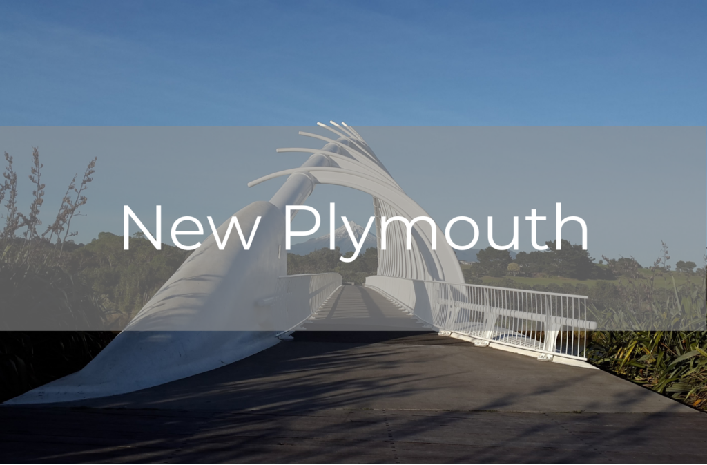 New Plymouth case study